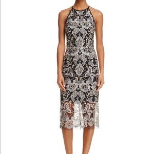 Aqua, Embroidered Lace Cocktail Dress